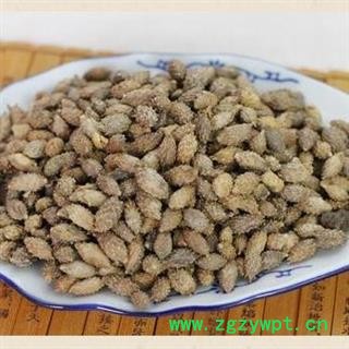 苍耳子 统货正品保证质量7天无理由退货退款 安品堂图2