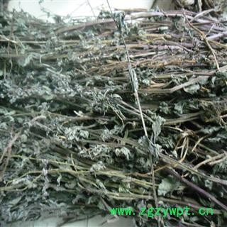 半枝莲 青色选货 产地 四川省成都市双流县 库存 500千克可售图3