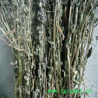 半枝莲 青色选货 产地 四川省成都市双流县 库存 500千克可售图4