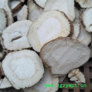 娟子中药   白芷 大片  选货  产地 安徽省亳州市谯城区 库存 2000公斤可售图2