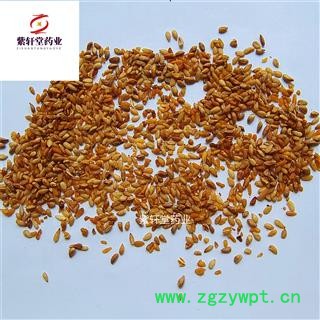 柏子仁 柏子仁统货 产地 山东省图4