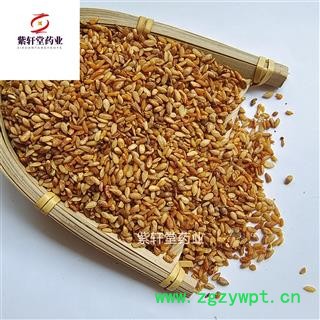 柏子仁 柏子仁统货 产地 山东省图2