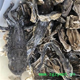 蟾蜍 蟾蜍好货 产地 山东省 买好药材找娟子图2