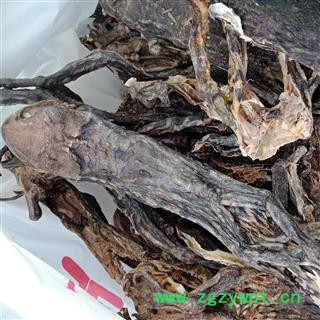 丽丽药业 蟾蜍干蟾蜍 中药材批发 整支蟾蜍正品保证实图拍照7天无理由退货退款图2