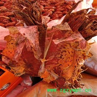 丽丽药业 蟾蜍衣 中药材批发 蟾蜍皮正品保证7天无理由退货退款图2