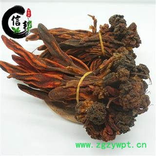 回春草顶天柱泡酒料不老草草苁蓉专注品质，诚信信邦！图2