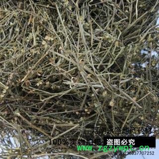 半枝莲 精选 产地 河南省南阳市图2