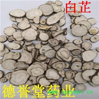 白芷 统片 无硫白芷 产地 安徽 德誉堂药业批发零售各种中药材图3
