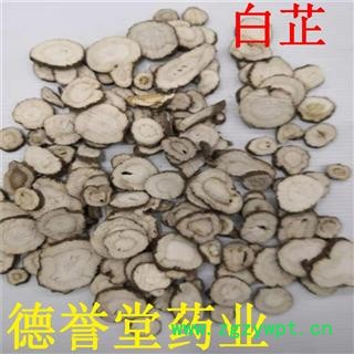 白芷 统片 无硫白芷 产地 安徽 德誉堂药业批发零售各种中药材图2