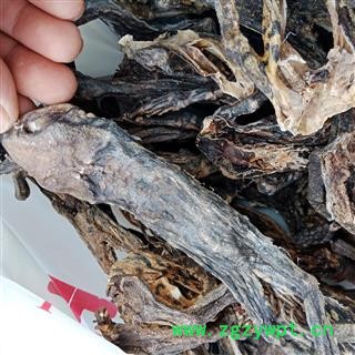 丽丽药业 蟾蜍干中药材批发  全个蟾蜍正品保证实图拍照7天无理由退货退款图3