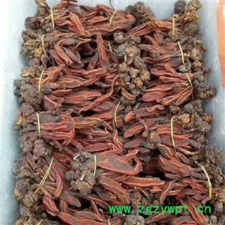 安祁名药优质草苁蓉 野生不老草顶天柱草苁蓉锁阳男性泡酒料图3