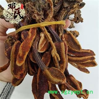 【满包邮】不老草草苁蓉 云南 回春草小中条 顶天柱产地直供图4