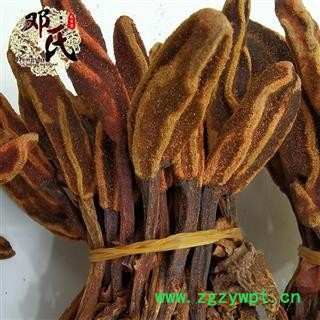 【满包邮】不老草草苁蓉 云南 回春草小中条 顶天柱产地直供图2