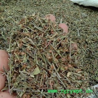 半枝莲 统 产地 河南省周口市商水县