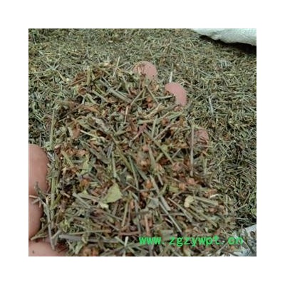 半枝莲 统 产地 河南省周口市商水县