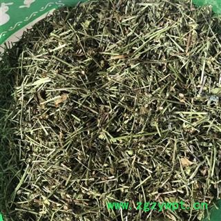 半枝莲 半枝莲 挖耳草，通经草，紫连草，小韩信草，小韩信  产地 河南省 买好药找娟子 专业批发图4