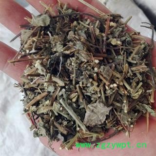 诺源药材行中药材耳挖草 倒提壶草 蓝布裙 金挖耳 中国勿忘我图2