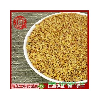 柏子仁精选货 瑞芝堂中药行 品质齐全1000克