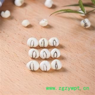 川贝母 阿坝人工种植川贝统货 地道良药馆产地直销图4