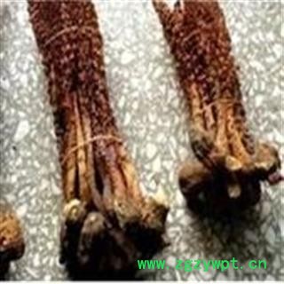 诺源药材行中药材草苁蓉 不老草图2