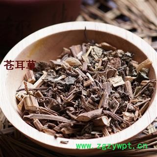 煜庭药业 苍耳草图4