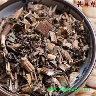 煜庭药业 苍耳草图2