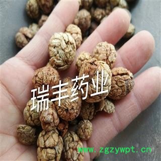 草豆蔻 统装 产地 云南省图3
