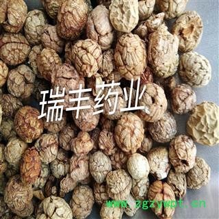 草豆蔻 统装 产地 云南省图2