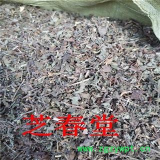 中药材批发 野生韩信草 耳挖草 大力草 金茶匙 牙刷草 顺经图2