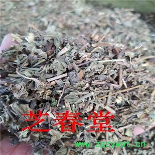中药材批发 野生韩信草 耳挖草 大力草 金茶匙 牙刷草 顺经图4