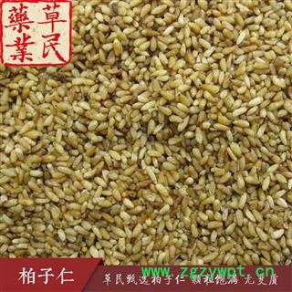 草民甄选柏子仁 脱壳率98%以上 颗粒饱满无变质 专业批发量大从优图4