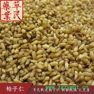 草民甄选柏子仁 脱壳率98%以上 颗粒饱满无变质 专业批发量大从优图3
