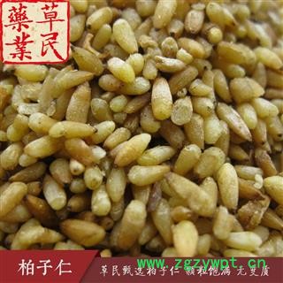 草民甄选柏子仁 脱壳率98%以上 颗粒饱满无变质 专业批发量大从优