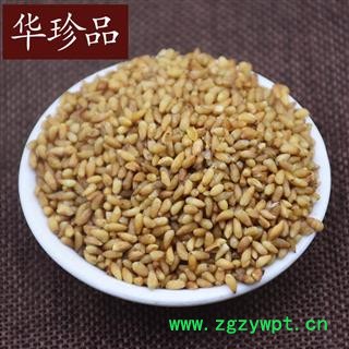 柏子仁 02 柏子仁 选 95 产地 山东省东营市利津县图4