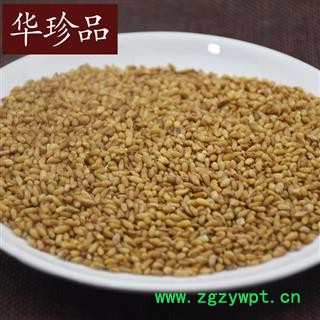 柏子仁 02 柏子仁 选 95 产地 山东省东营市利津县图2