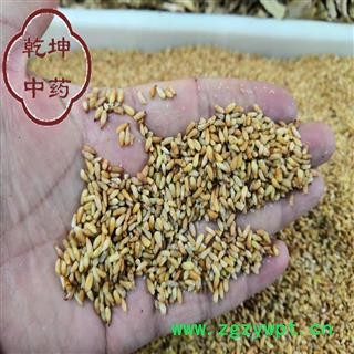 柏子仁 净货  精选 产地 山东省【品种齐全 诚信经营】图2