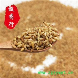 柏子仁 去壳好统货 去壳率90%以上 产地河北 甄选药材行图4