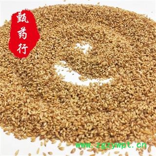 柏子仁 去壳好统货 去壳率90%以上 产地河北 甄选药材行图2