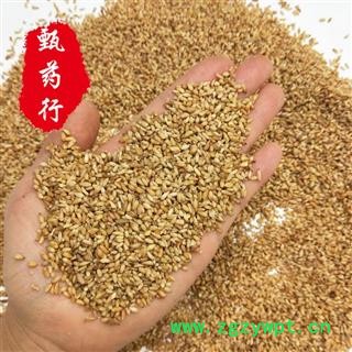 柏子仁 去壳好统货 去壳率90%以上 产地河北 甄选药材行图3