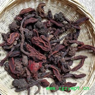 娟子中药 草苁蓉  野生回春草 草苁蓉 产地 云南省图2