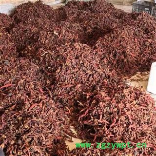 康源堂草苁蓉中药材 野生 顶天柱 草苁蓉 不老草 独根草 硬劲草 回春草文王一支笔图2