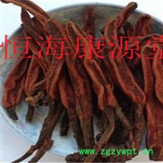 康源堂草苁蓉中药材 野生 顶天柱 草苁蓉 不老草 独根草 硬劲草 回春草文王一支笔图3