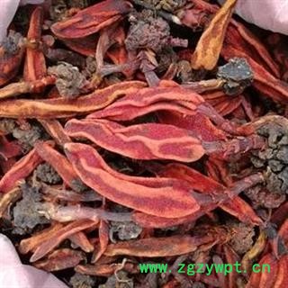 瑞森药材行草苁蓉 顶天柱 不老草 回春草 壮阳草 不老根图3