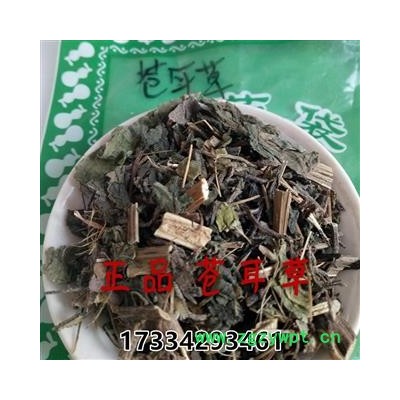 中药材苍耳草 苍耳草 苔耳 老苍子 卷毛子 切才尔