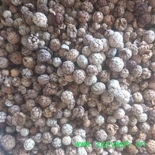 草豆蔻 草寇 草扣 小草蔻 土砂仁 假砂仁 海南 产地 广西壮族自治区图3