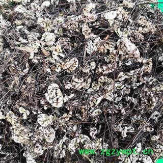 安祁名药中药材通经草  半枝莲图2