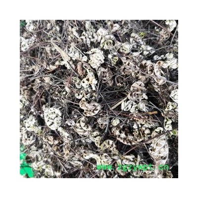 安祁名药中药材通经草  半枝莲