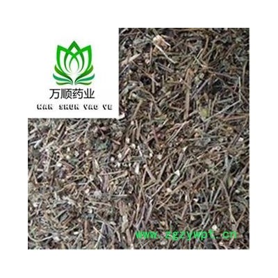 半枝莲选段 质量好 价格低  产地 河南省