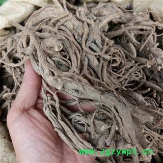 广西壮乡中草药 野生 香白芷 产地 广西柳州市三江侗族自治县图3