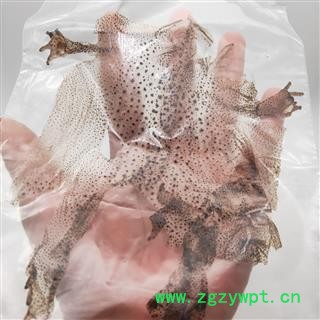 蟾蜍衣1张【至臻华美】中药材批发供应【蟾蜍衣】干蟾皮 癞蛤蟆皮图3